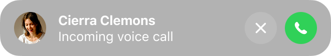 Incoming call notification